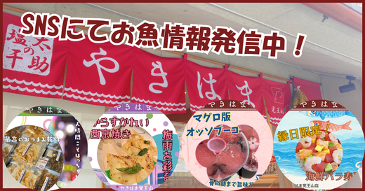 今日からできる！簡単！ほっけ・漬け魚の焼き方