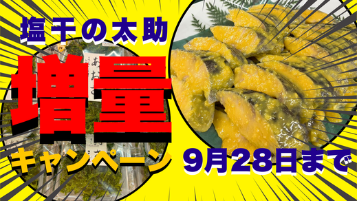 増量セール開催中！