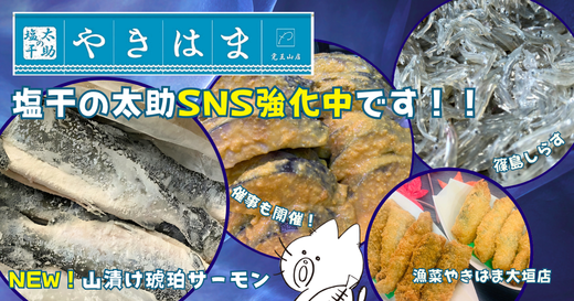 毎月10日は干物の日！